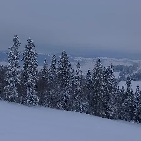 U Jozka-widok Na Tatry * Groń
