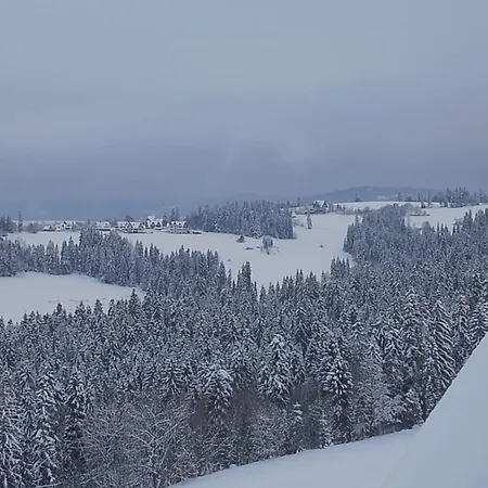 U Jozka-widok Na Tatry * Groń